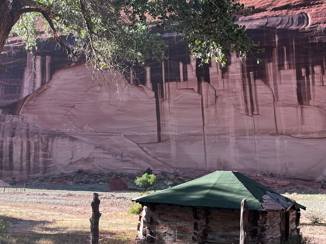 Thunderbird Lodge Tours-Chinle必去景点
