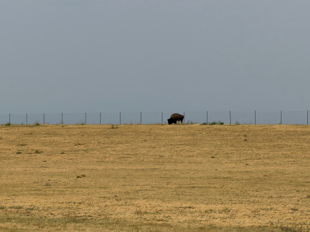 Rocky Mountain Arsenal National Wildlife Refuge-Commerce City必去景点