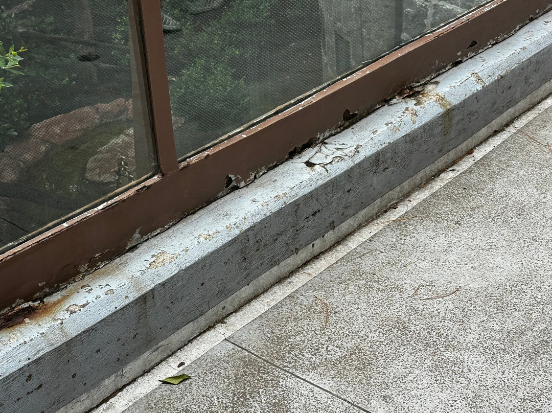 Zoológico de Chapultepec-墨西哥城必去景点