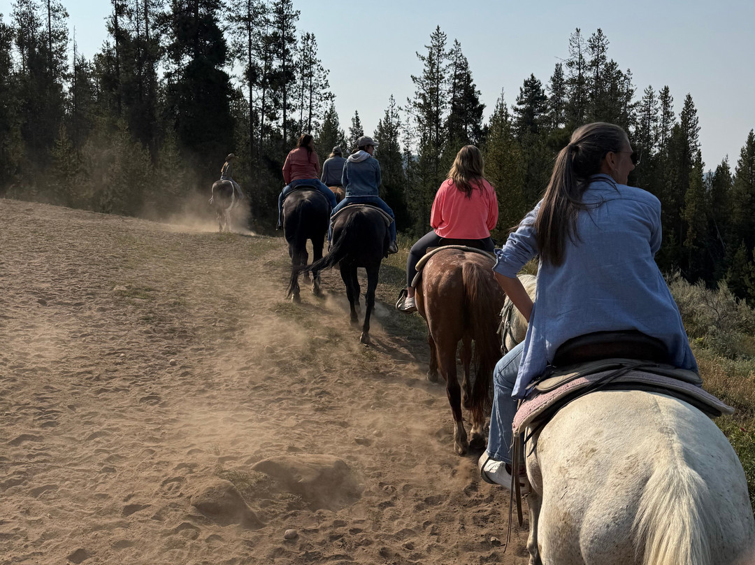 Swift Creek Outfitters & Teton Horseback Adventures-莫兰必去景点
