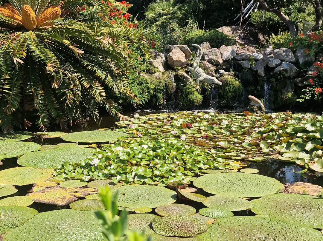 Giardini La Mortella-福里奥必去景点