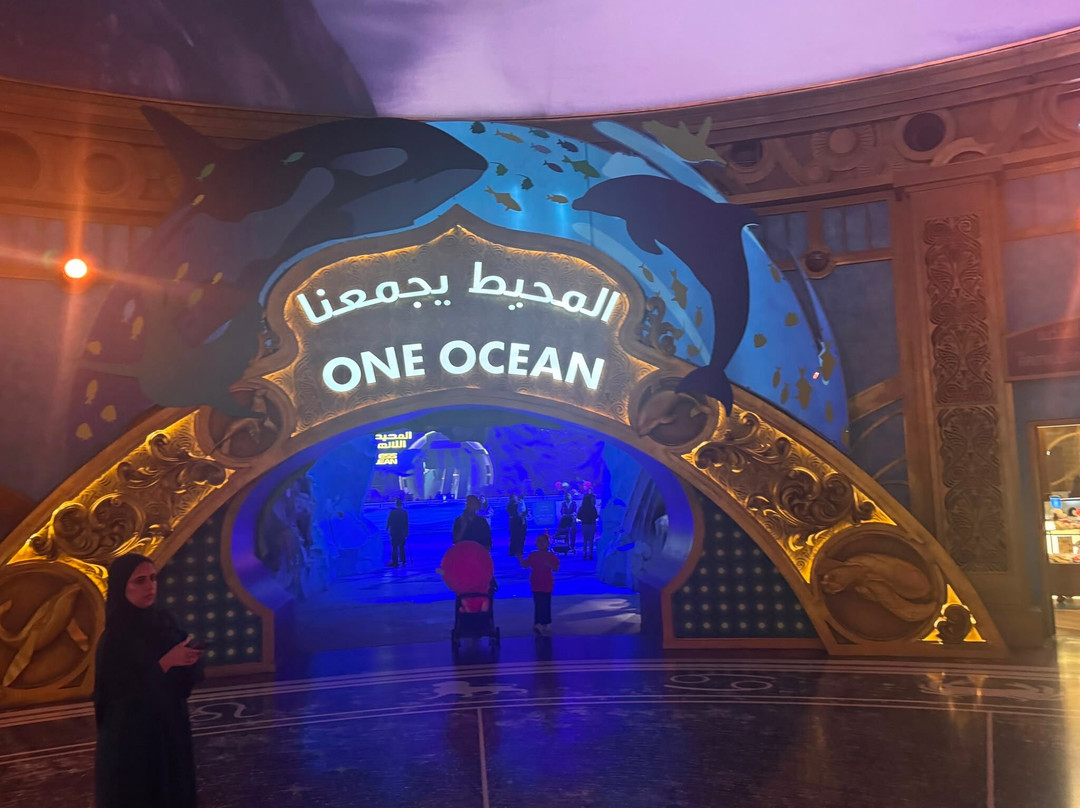 SeaWorld Yas Island Abu Dhabi-阿布扎比必去景点