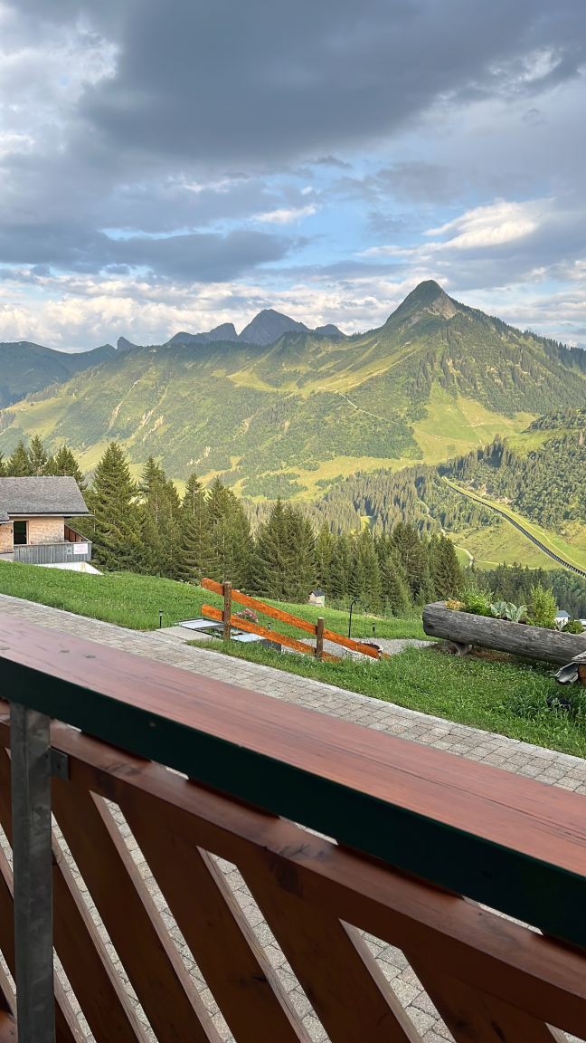 Hotel Hertehof-旅行者