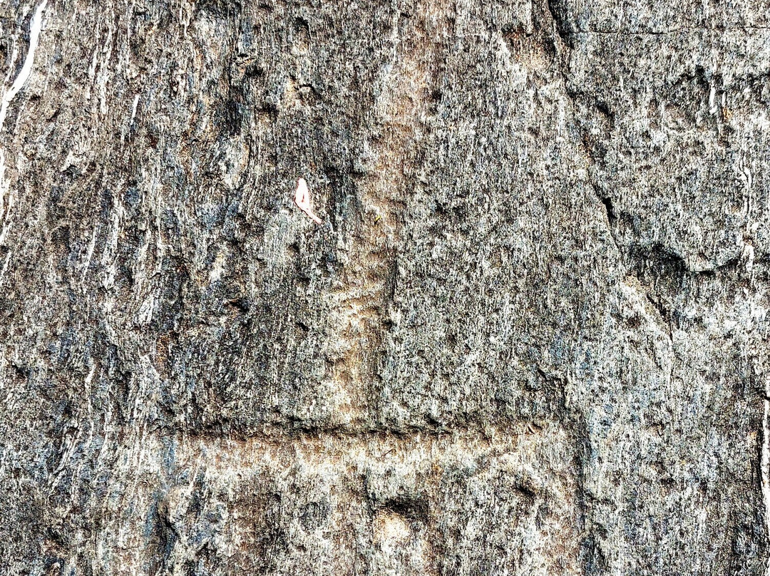 Parco Delle Incisioni Rupestri di Grosio e Grosotto-Grosio必去景点