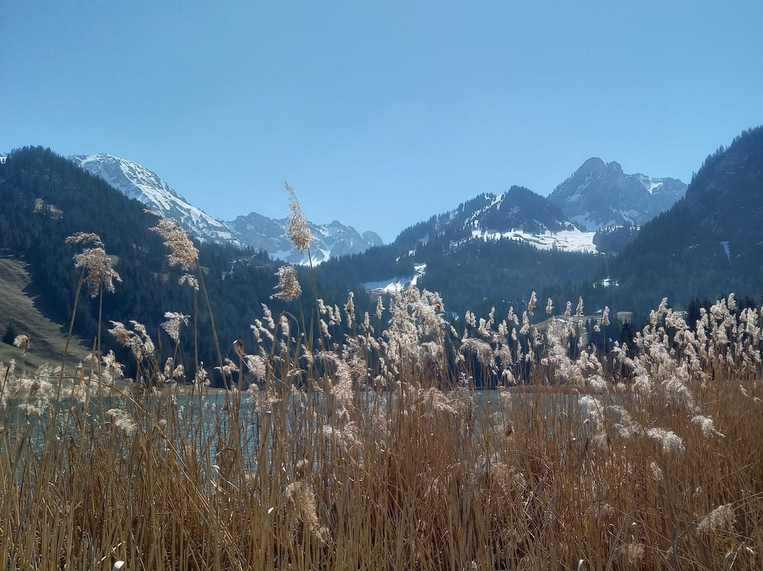 Schwarzsee Lac Noir-施瓦茨塞湖必去景点