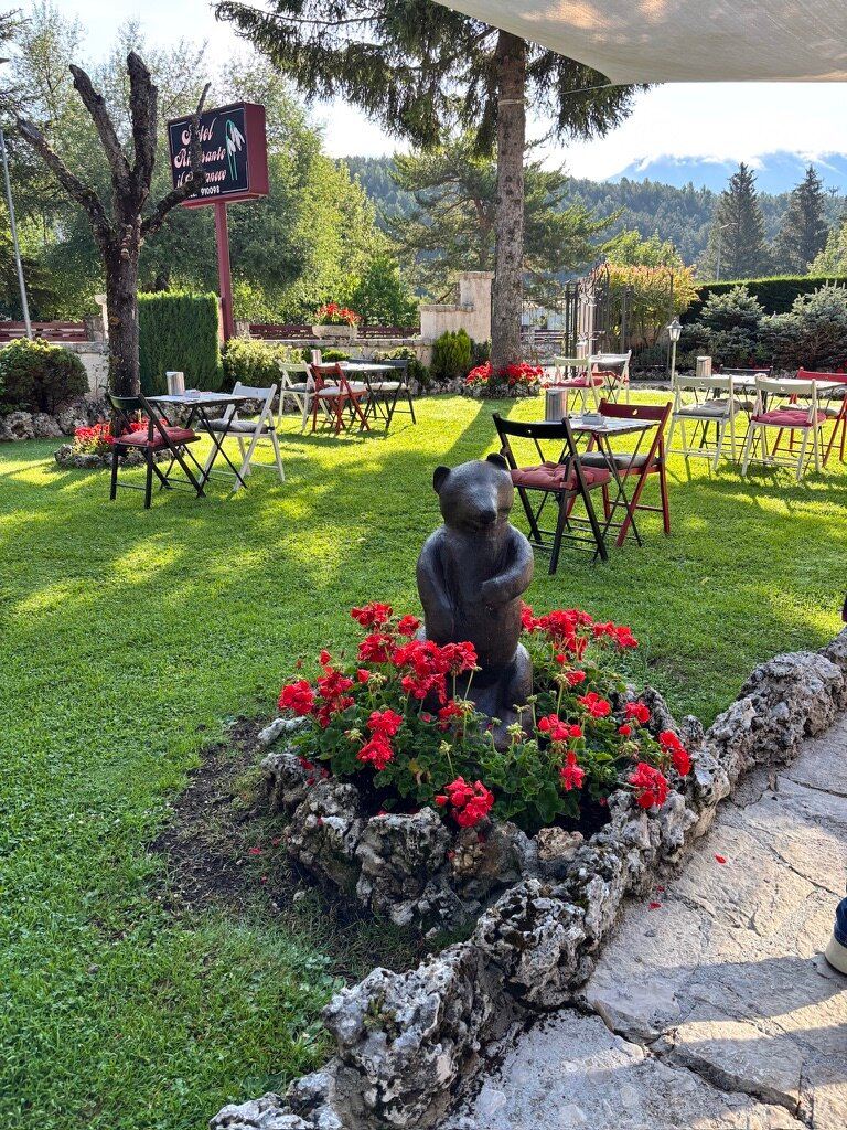 布卡奈维酒店-旅行者