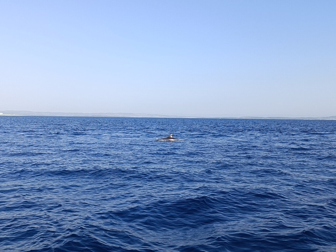 Leucate Évasion Marine-Port Leucate必去景点