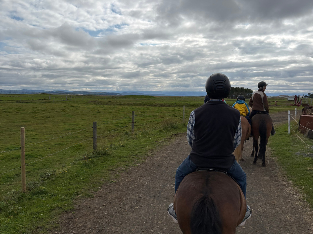 Vorsabær 2 - Horseback riding tours-塞尔福斯必去景点