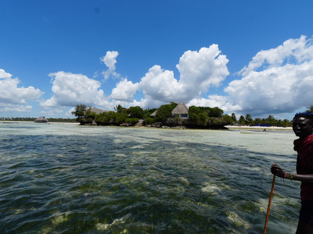 The Island - Pongwe Lodge主图