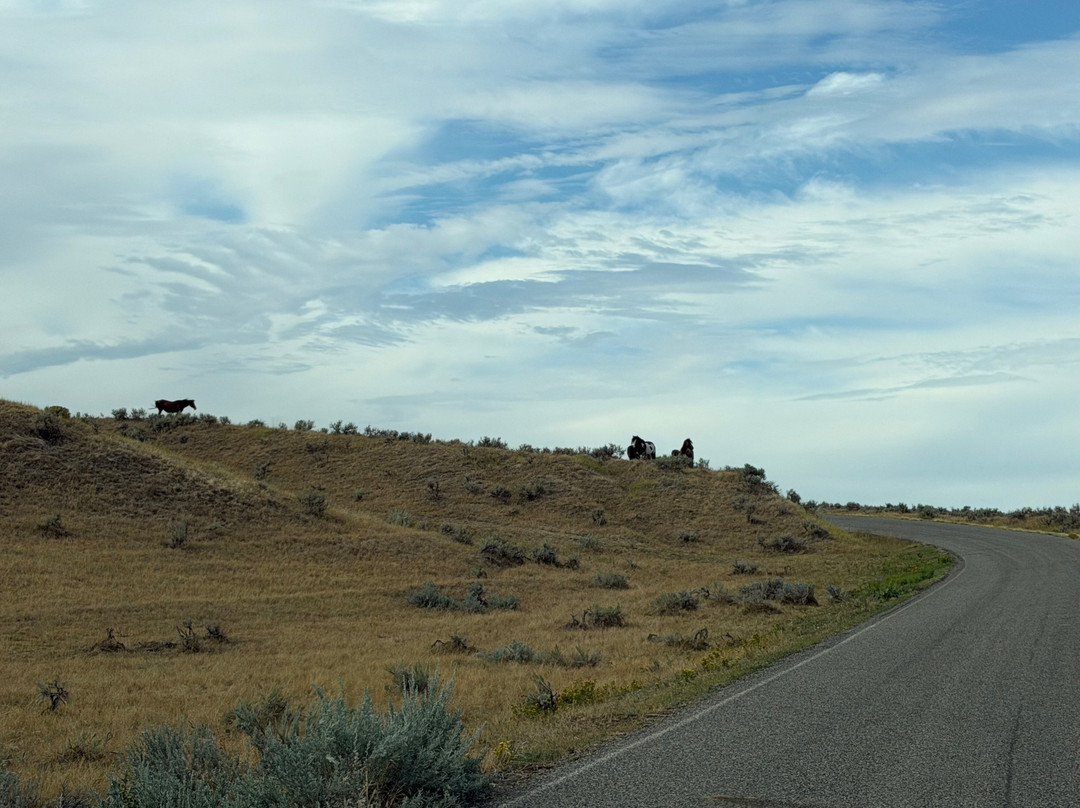 Little Bighorn Battlefield National Monument-Crow Agency必去景点