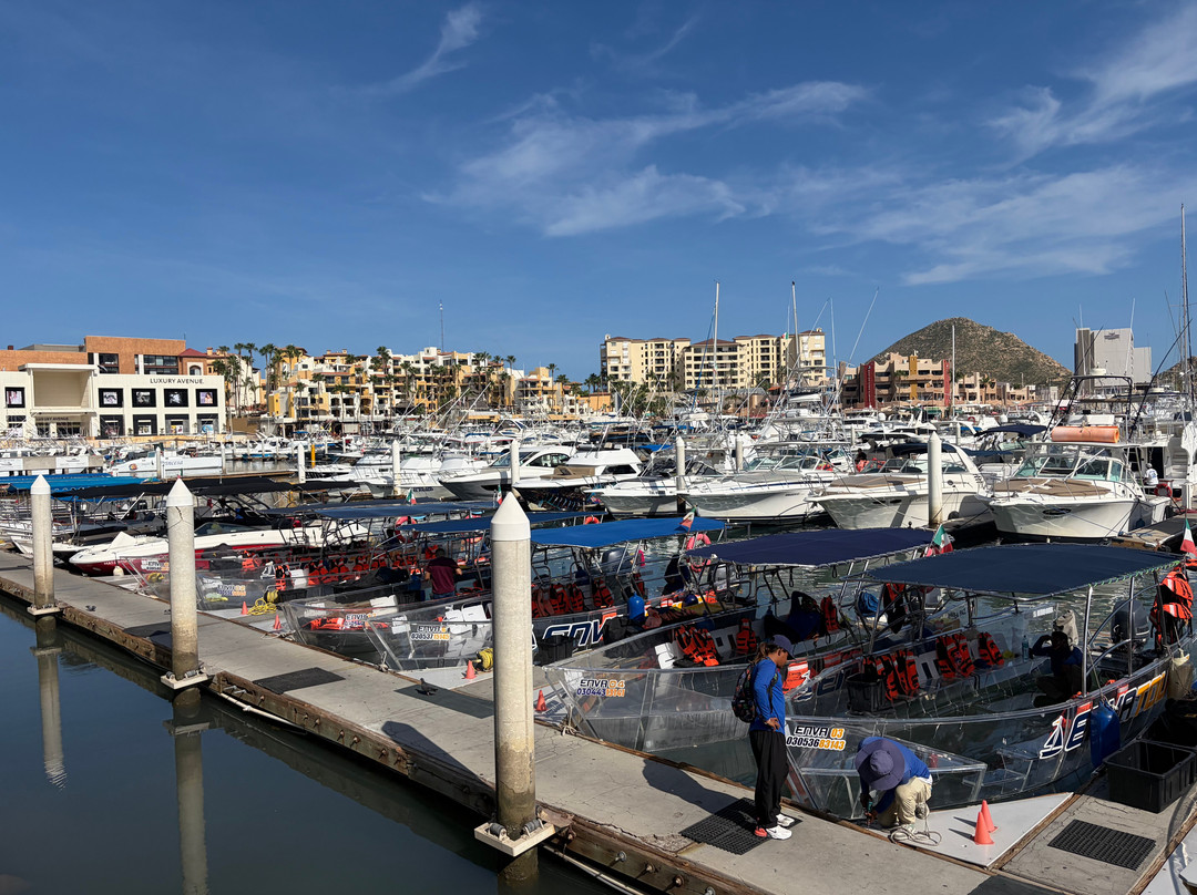 Marina Cabo San Lucas-卡波圣卢卡斯必去景点