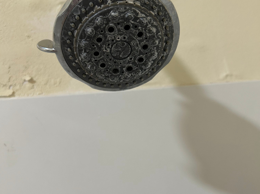 萨凡纳南呗盟套房酒店主图