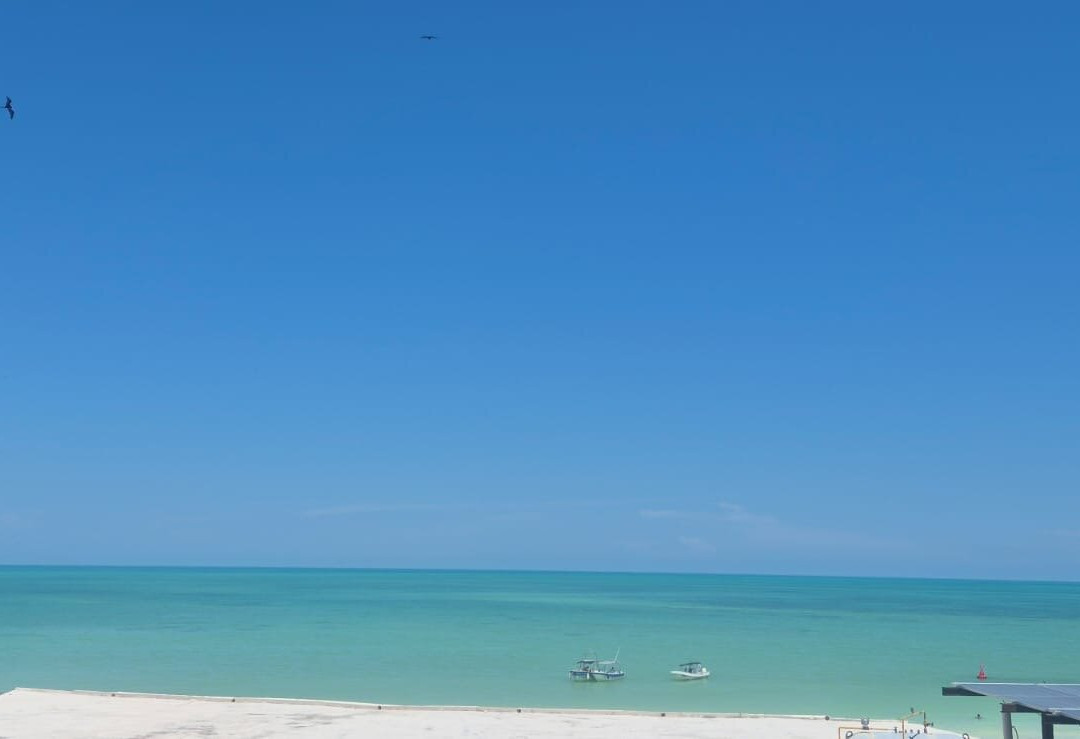 Isla Holbox-Holbox Island必去景点