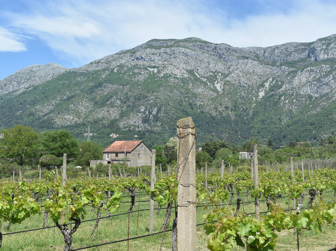Winery Bratos-Gruda必去景点