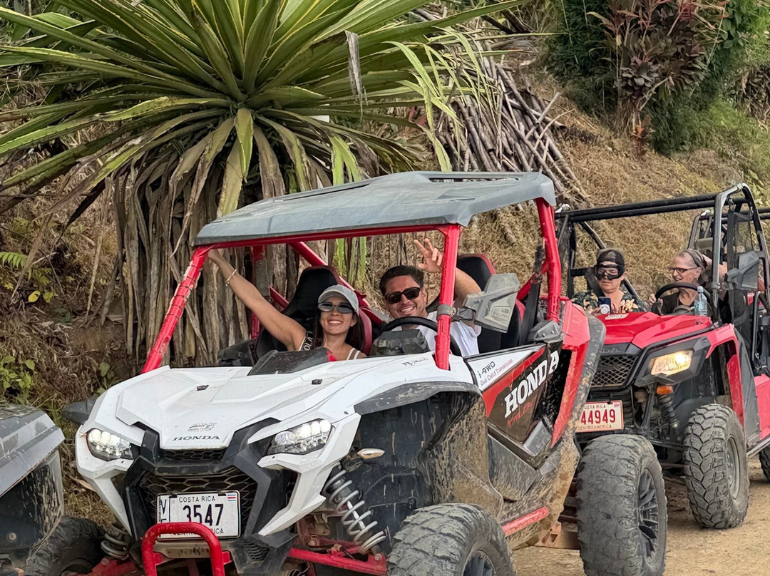Jungle ATV Quad Tours-乌维塔必去景点