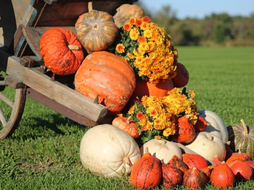 Il Villaggio della Zucca-Favria必去景点