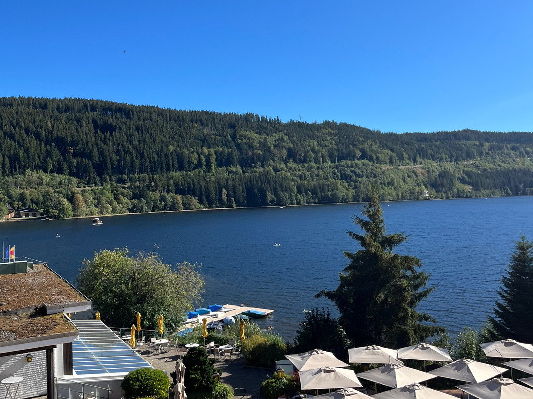 Treschers Schwarzwald Hotel主图