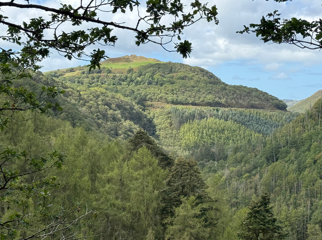Devil's Bridge Waterfalls-Devil's Bridge (Pontarfynach)必去景点
