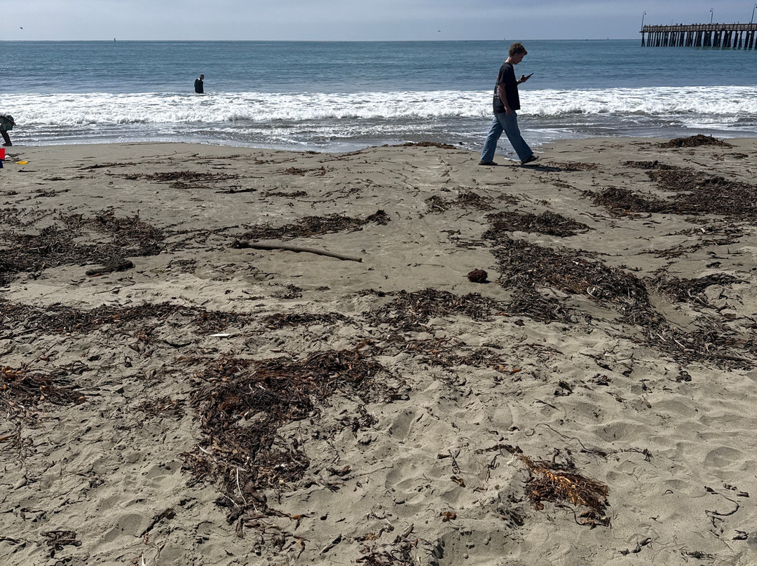 Cayucos State Beach-卡尤科斯必去景点