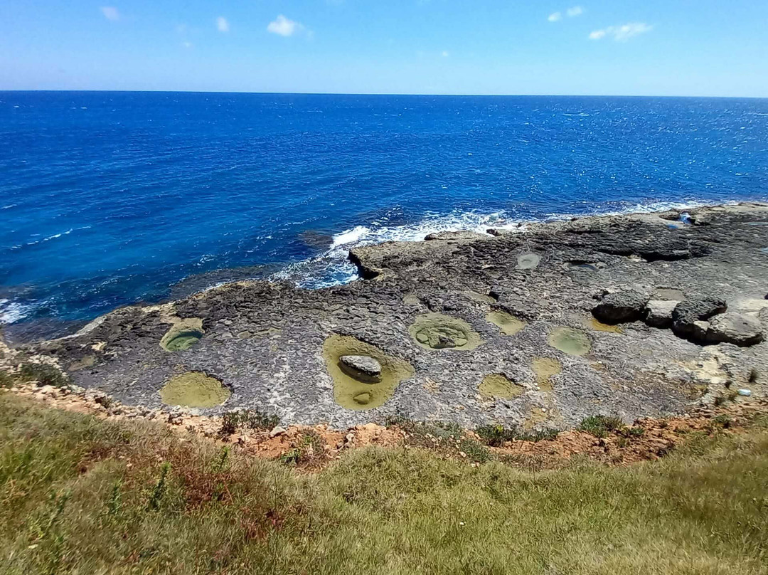 Parco Naturale Regionale Costa Otranto - Santa Maria di Leuca e Bosco di Tricase-Gagliano del Capo必去景点