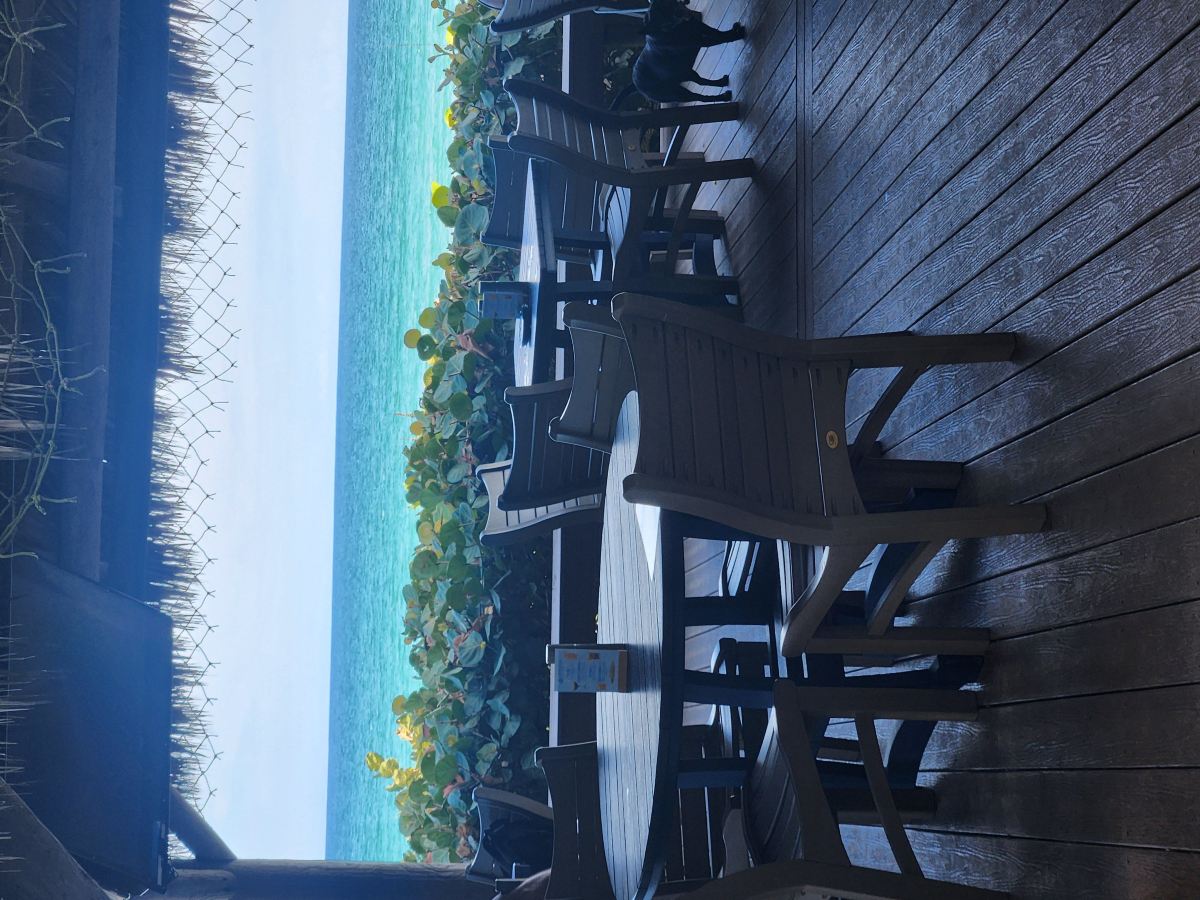 Crowne Plaza 墨尔本海滨-旅行者