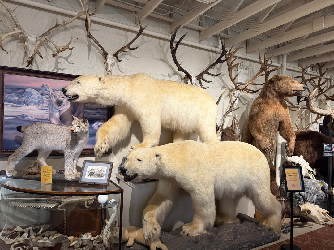 Hand of Man - Museum of Natural History, Cultural Arts & Conservation-邓肯必去景点