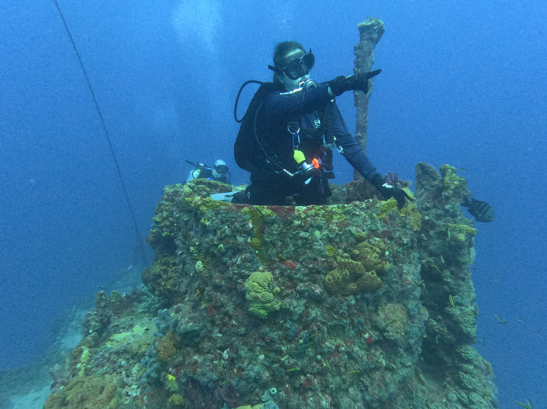 Conch Republic Divers-Tavernier必去景点