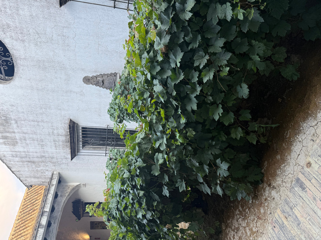 Bodegas Barbadillo-Sanlucar de Barrameda必去景点