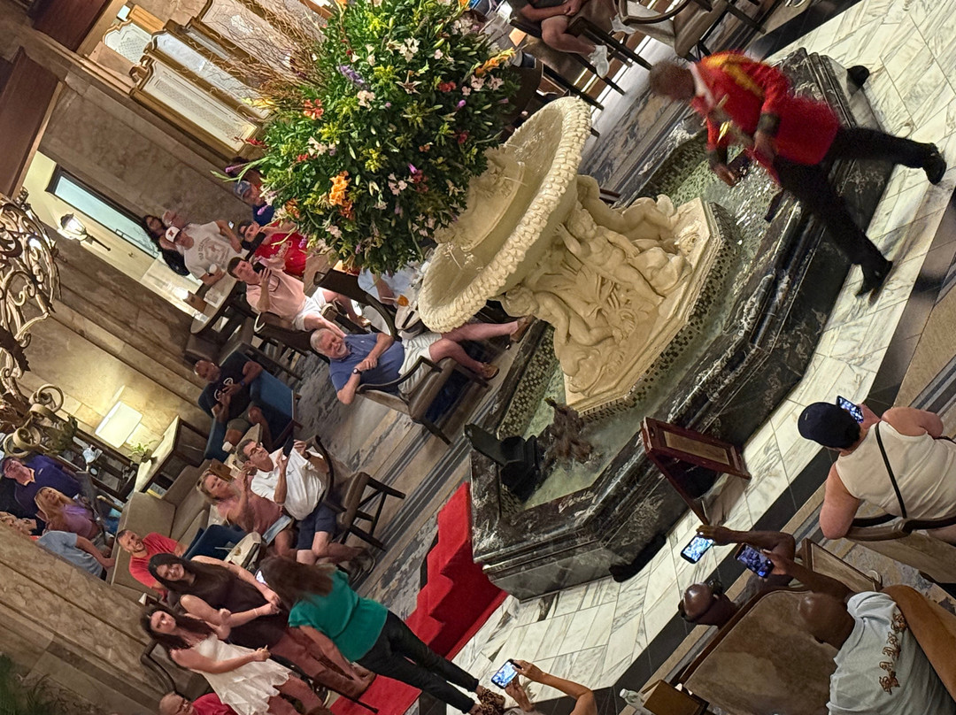 The Peabody Ducks-孟菲斯必去景点