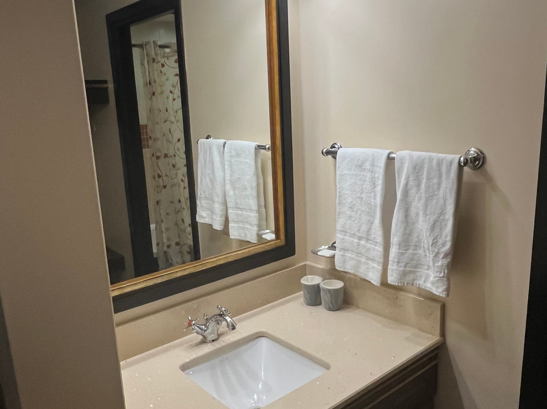 迪士尼红杉小屋®主图