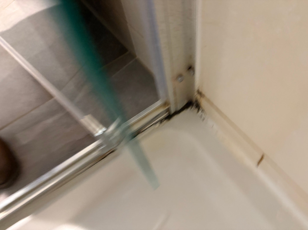 斯蒂夫基红狮主图