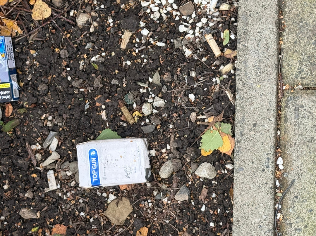 格拉斯哥布拉黑德旅游旅馆主图