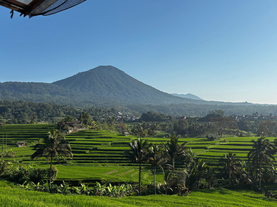 Jatiluwih Cycling & E-bike Tours With Bali By Pedals-Belalang必去景点