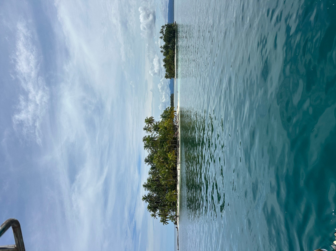 Catamaran Adventures San Blas-埃尔波韦尼尔必去景点