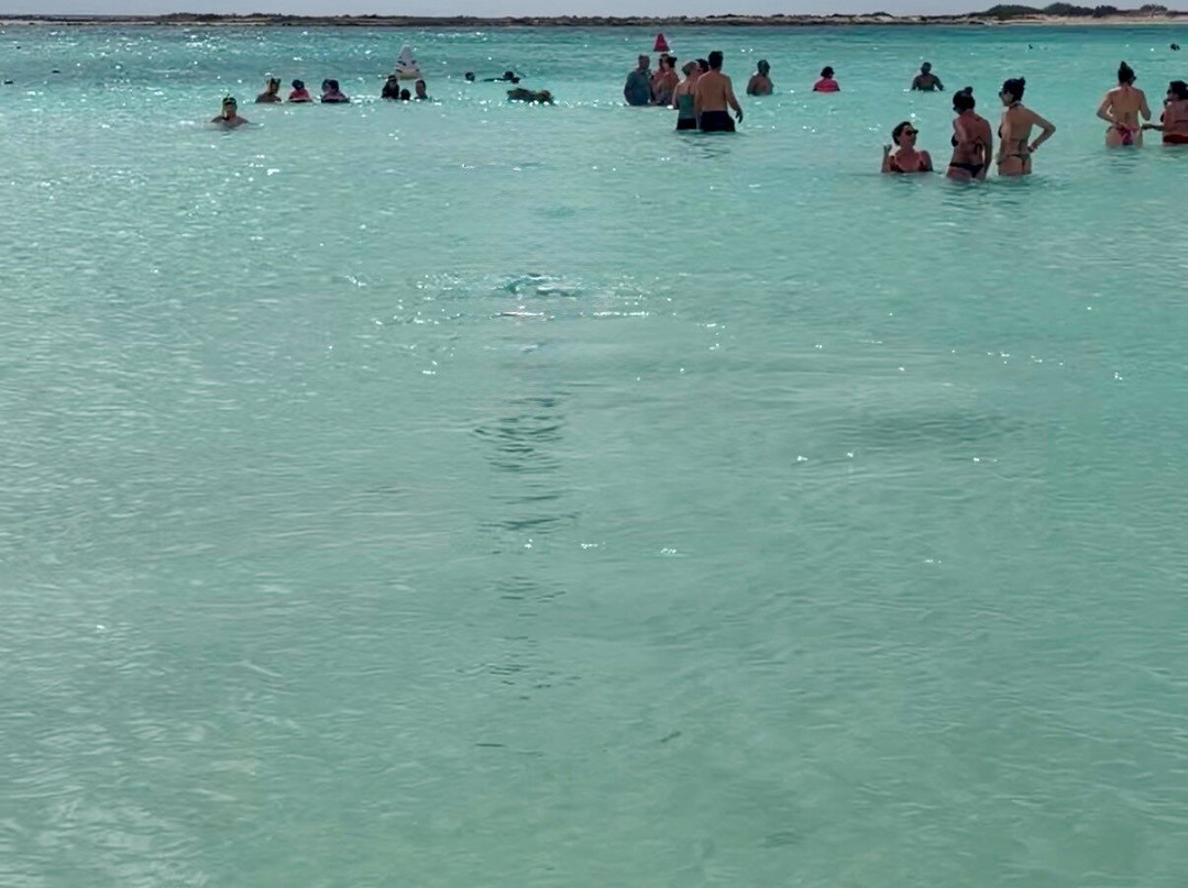 ABC Tours Aruba-奥腊涅斯塔德必去景点