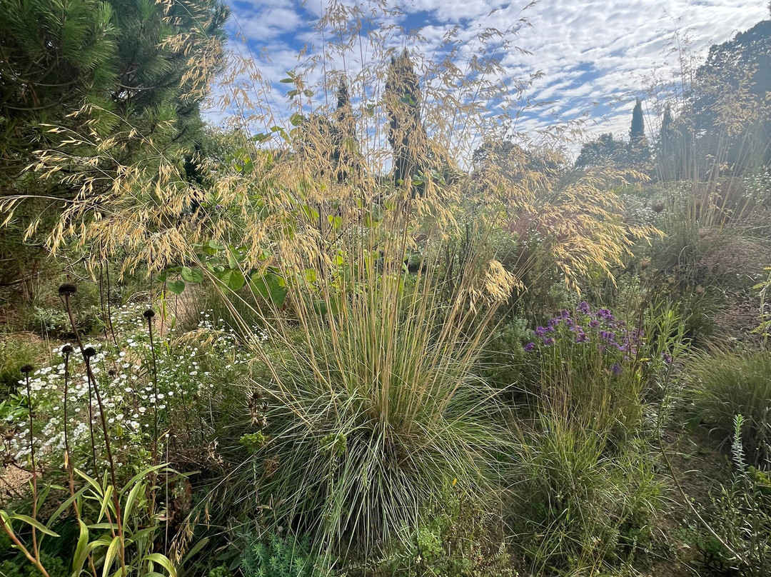 Knepp Rewilded Walled Garden-West Grinstead必去景点