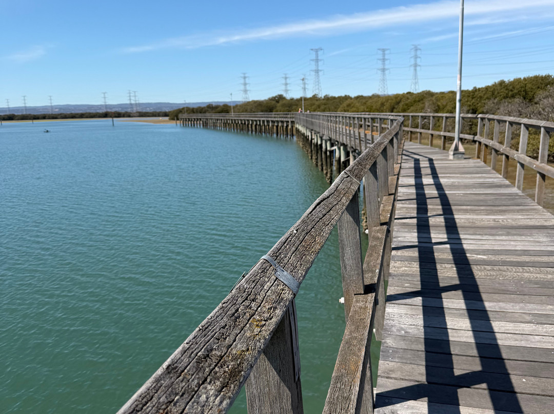 Adelaide Dolphin Sanctuary-Port Adelaide必去景点