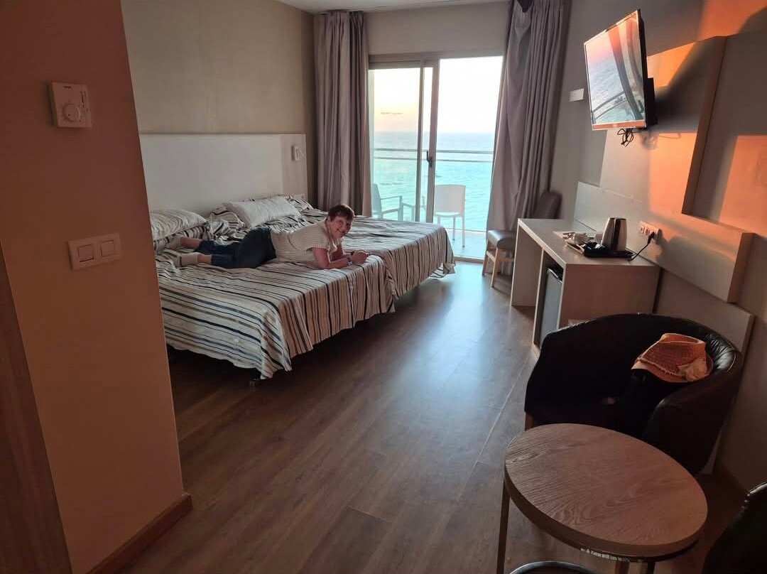 萨比纳尔贝斯特酒店主图