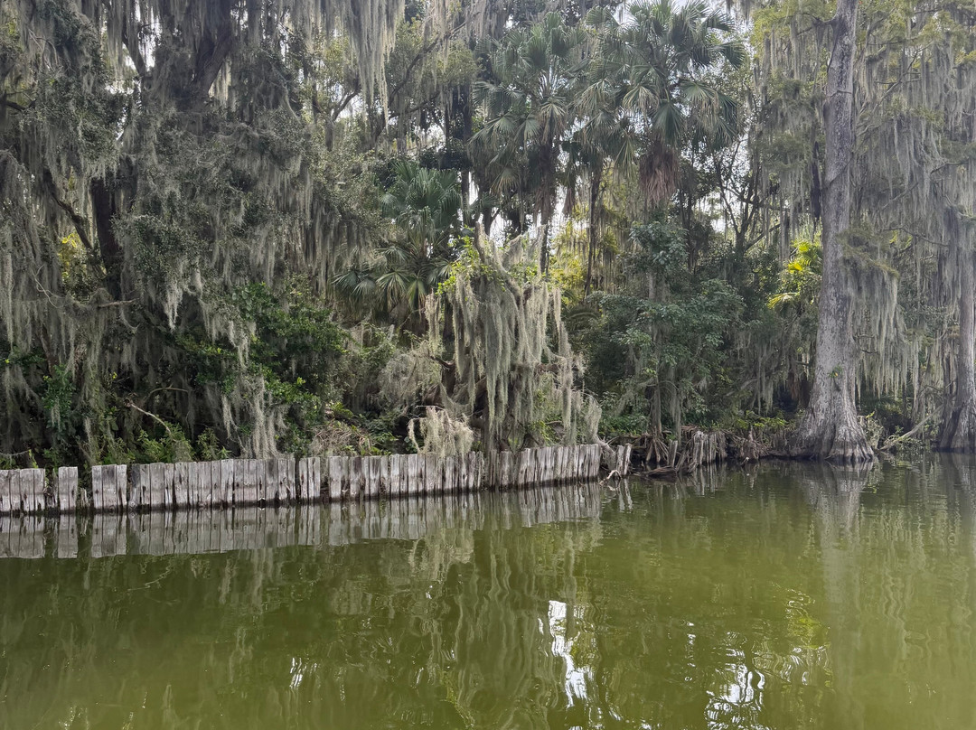 The Living Water Boat Cruises-温特黑文必去景点