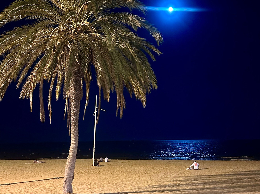 Playa el Postiguet-阿利坎特省必去景点