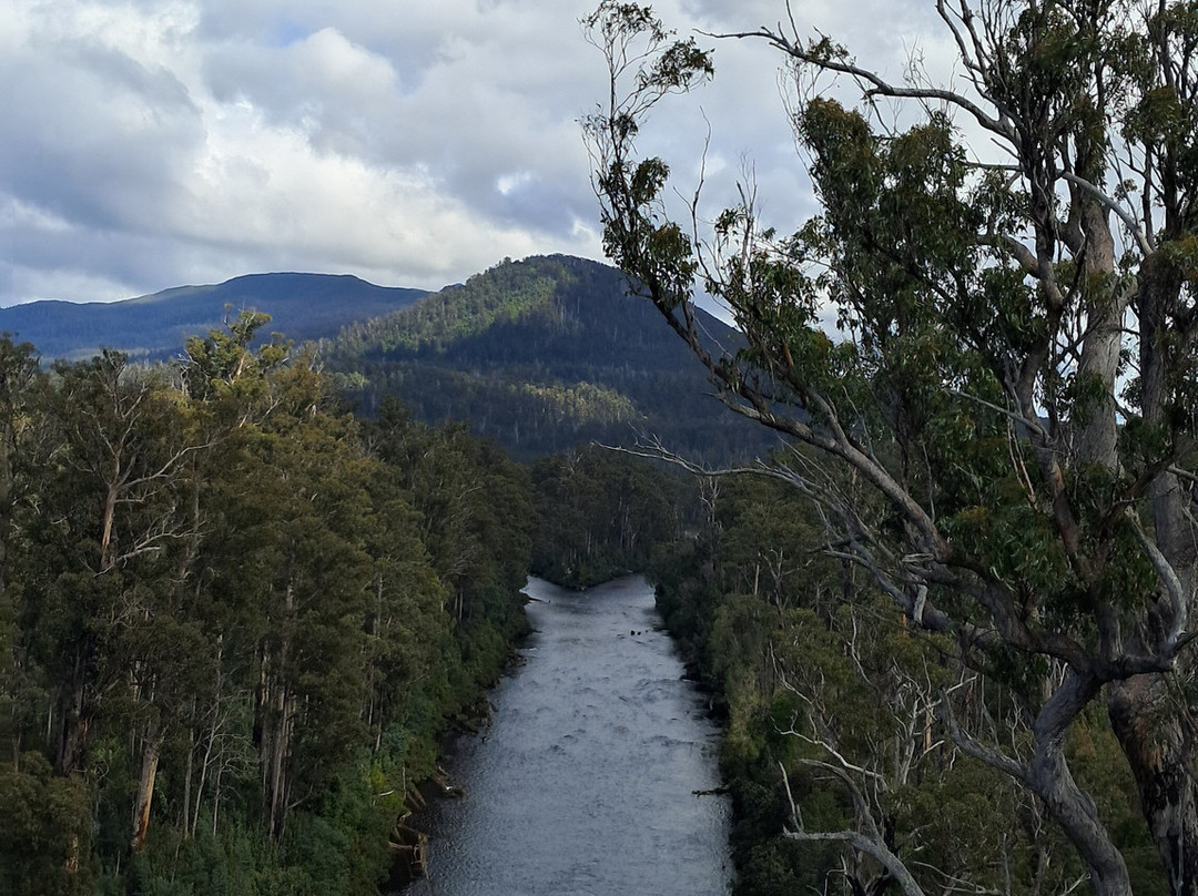 Tahune Adventures-Geeveston必去景点
