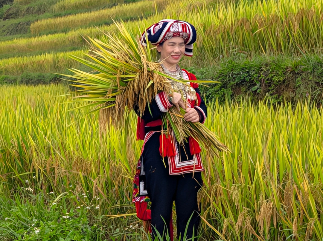 Vietnam Original Travel-胡志明市必去景点