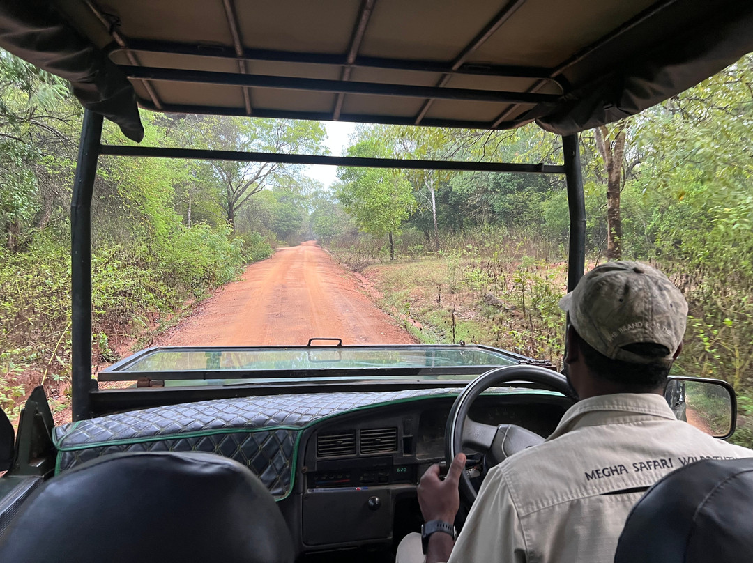 Wilpattu Megha Safari