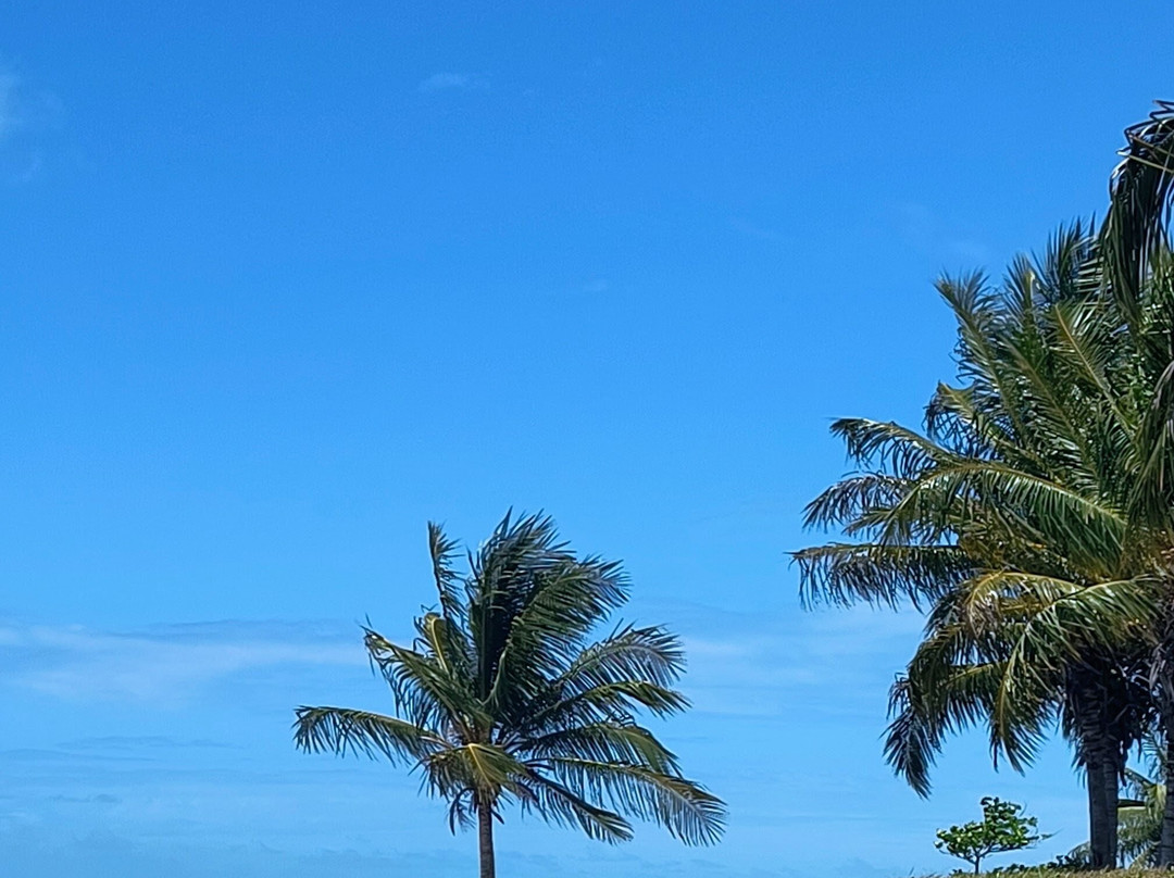 Riacho Beach-Sao Miguel dos Milagres必去景点