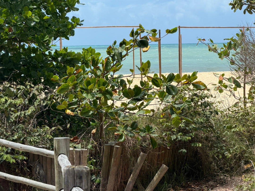 Club Med Trancoso主图