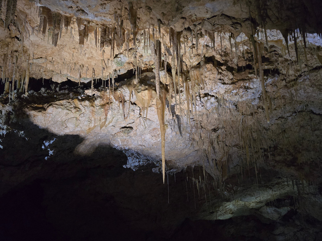 Crystal Cave Yanchep-扬切普必去景点