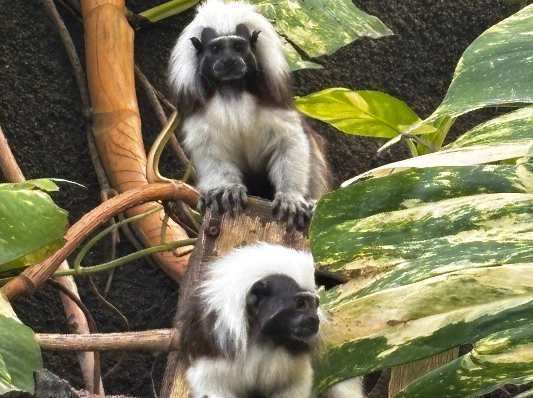 Krokodille Zoo-Eskilstrup必去景点