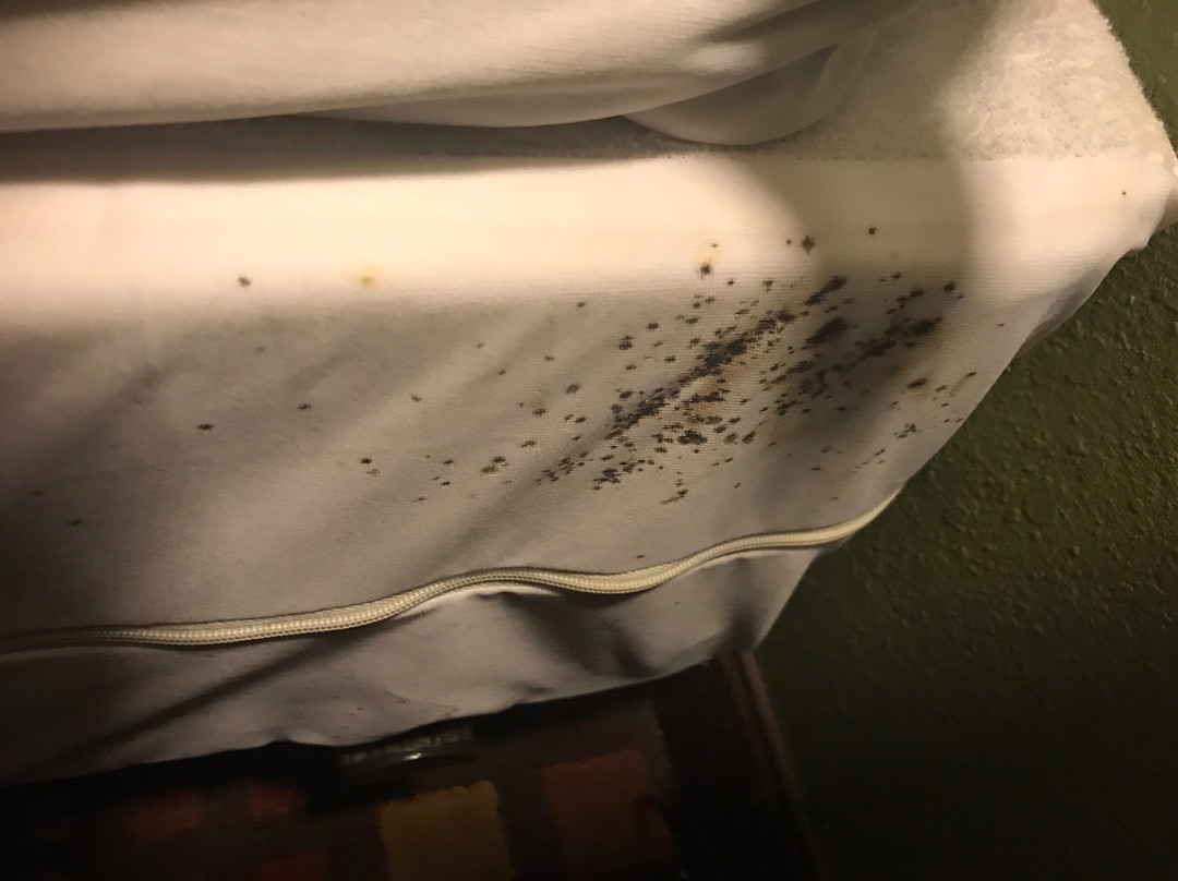 Relax Inn and Suites