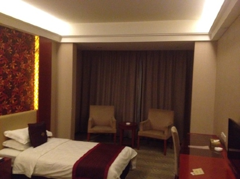 湖南枫林宾馆-客卧