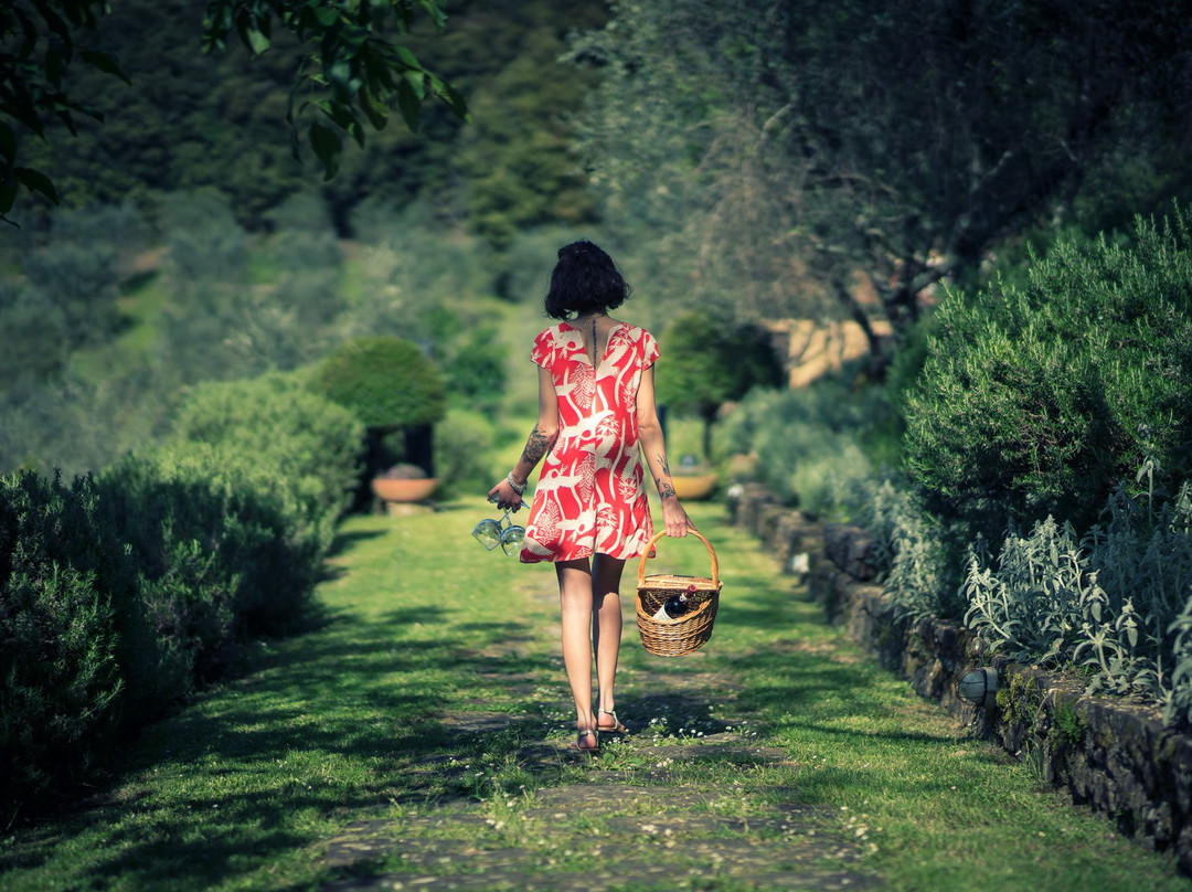 La Pensione di Vignamaggio主图